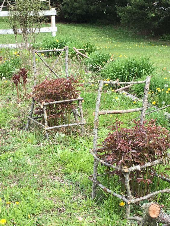 Plant Support