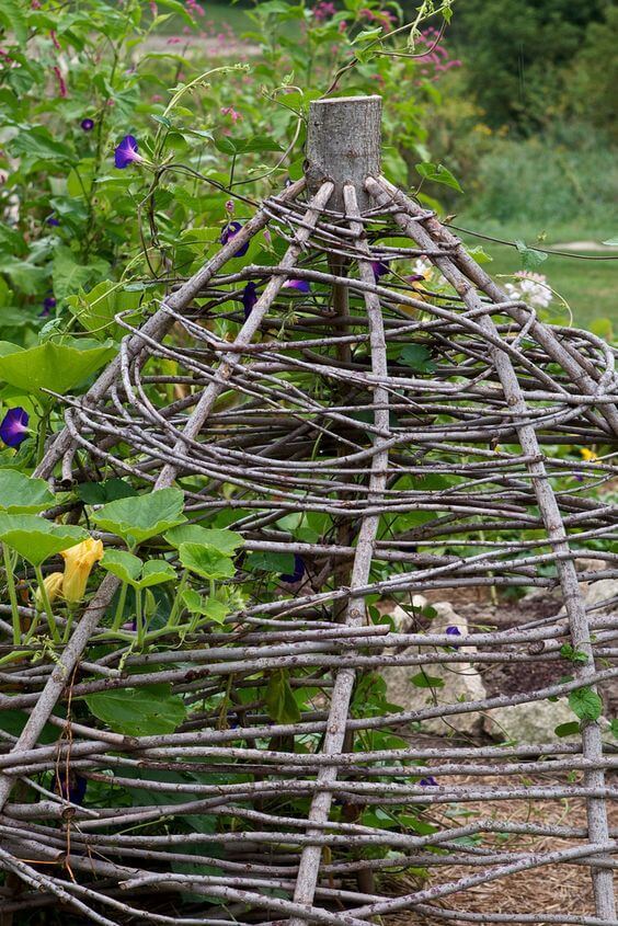 Twig Cage