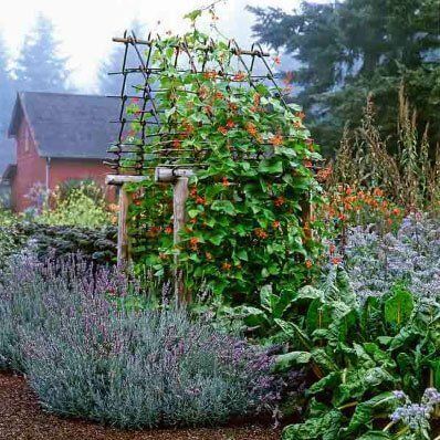 Garden Arbor
