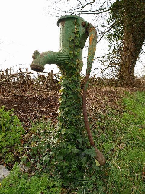 Old Well And Climbing Plant