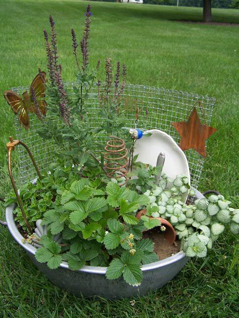 A Miniature Junk Herb Garden