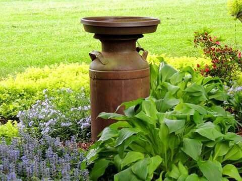 Old Milk Can Used For A Bird Bath