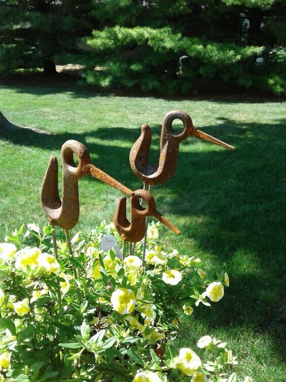 Special Birds In The Garden