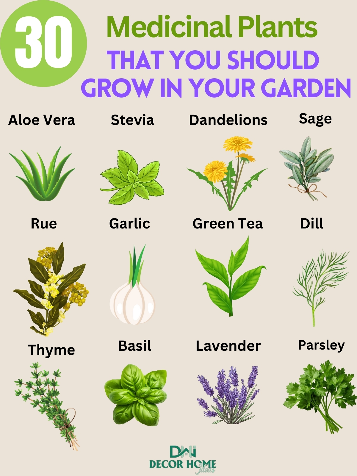 30 Medicinal Plants That You Should Grow in Your Garden