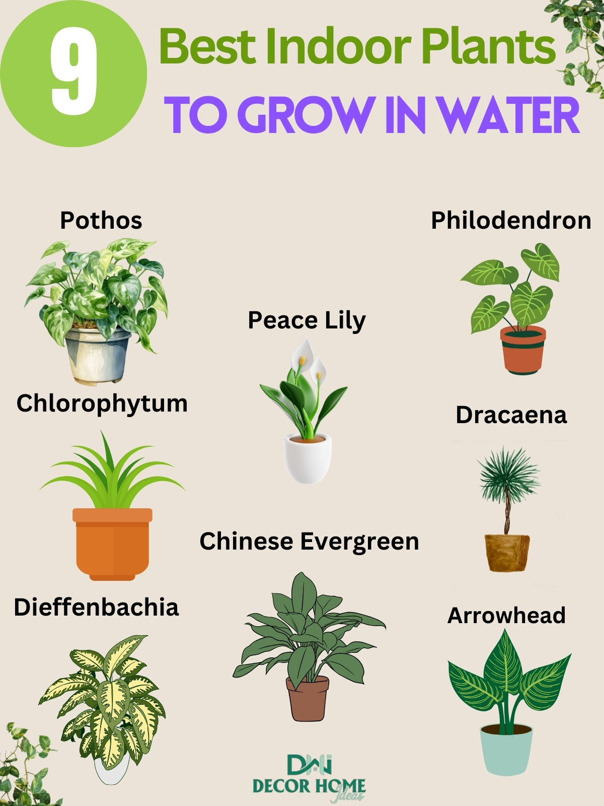 9 Best Indoor Plants To Grow in Water