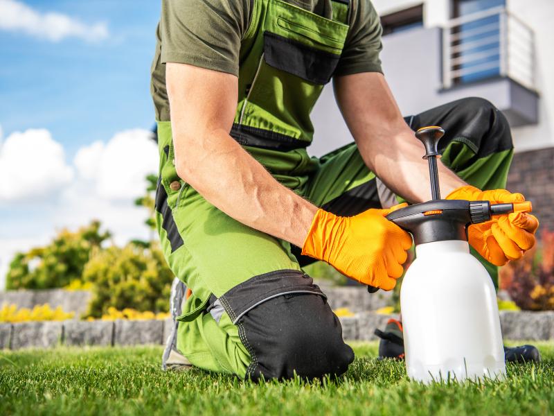 Baticlean is our go-to biocide when it comes to killing moss.