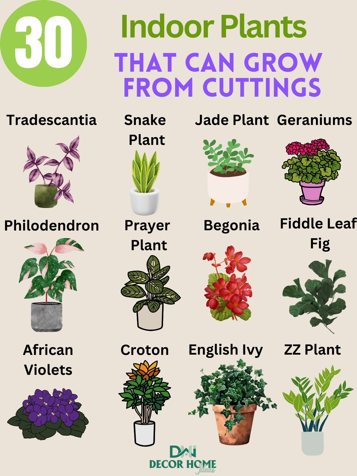 30 Indoor Plants That Can Grow From Cuttings