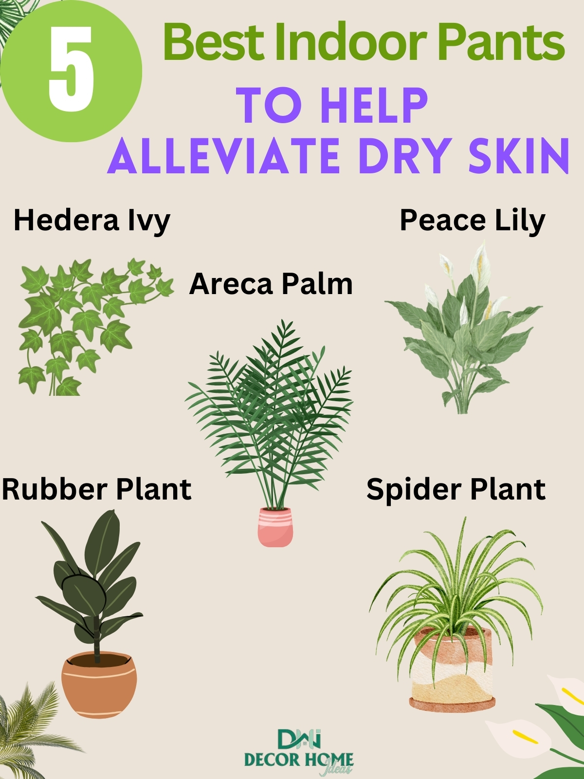 5 Indoor Plants To Help Alleviate Dry Skin