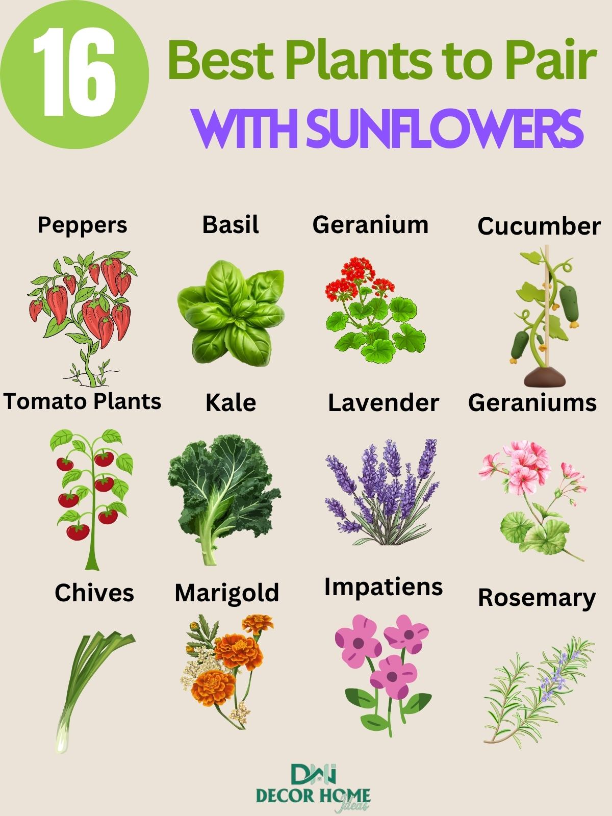 Gardening Secrets Revealed The Top Plants to Pair with Sunflowers