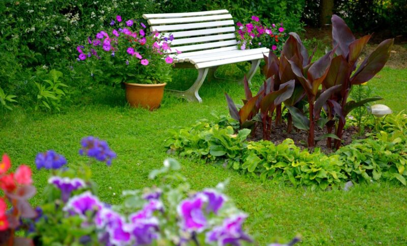 All Summer Blooming Flowers