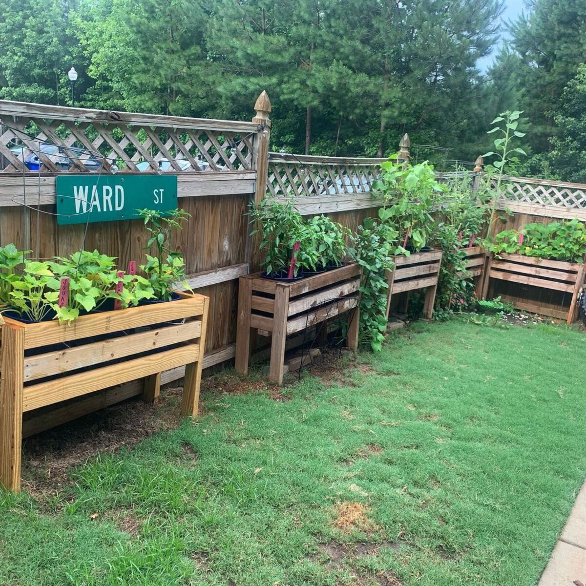 12 bucket garden ideas 9