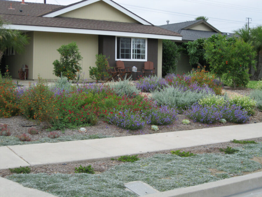perrenial gardens layout front yards 12