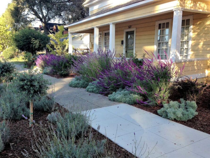 perrenial gardens layout front yards 17