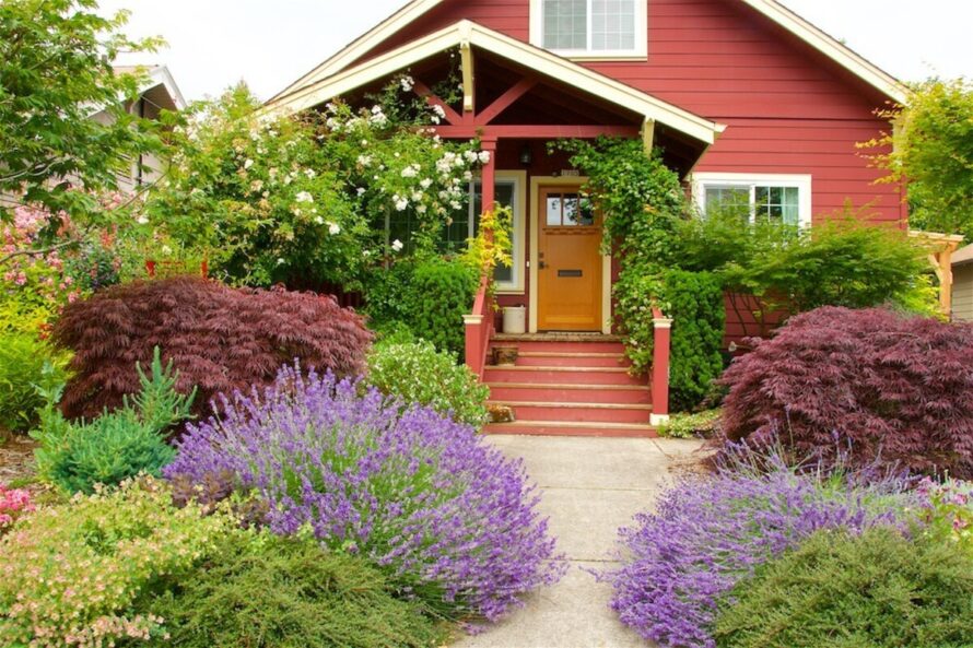 perrenial gardens layout front yards 3