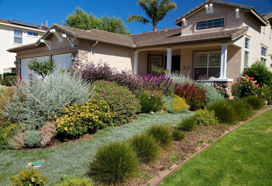 perrenial gardens layout front yards 6