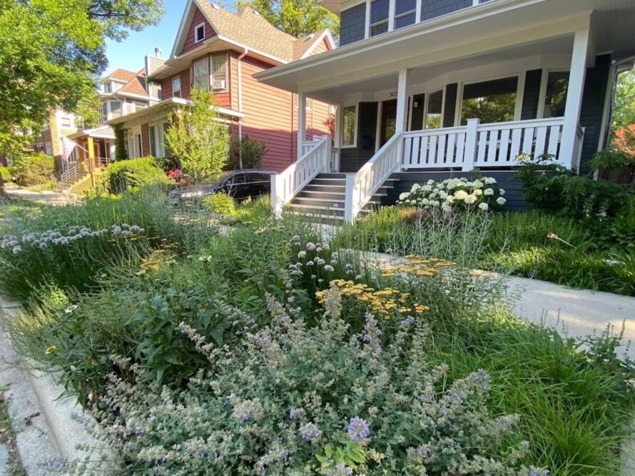 perrenial gardens layout front yards 9