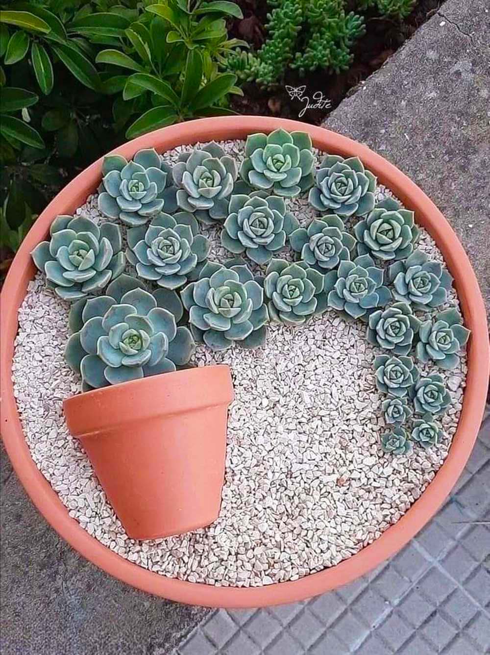 11.