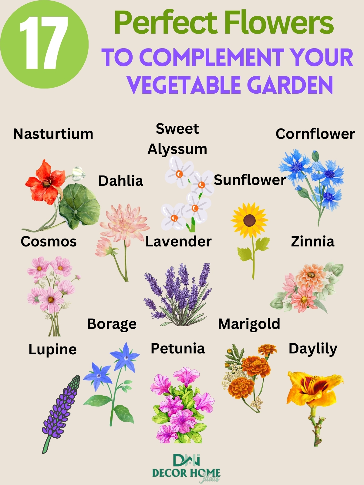17 Stunning Flowers that Perfectly Complement Your Vegetable Garden