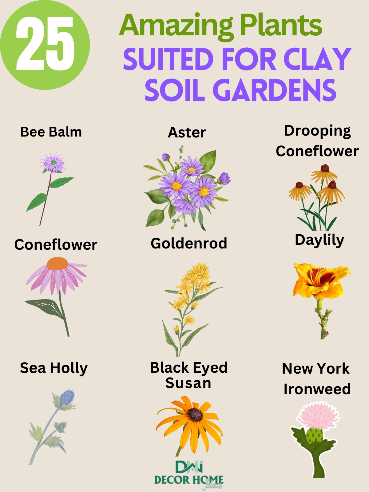 25 Top Notch Plants Perfectly Suited for Clay Soil Gardens