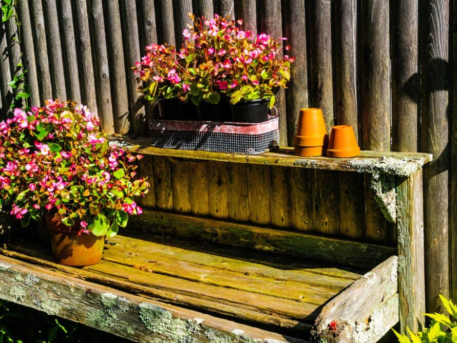 affordable backyard ideas 01