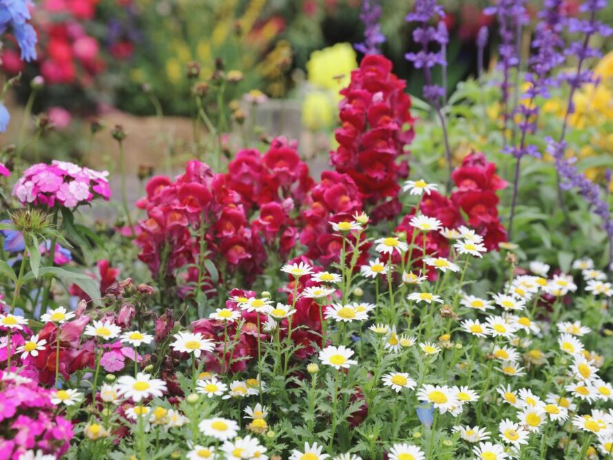 affordable backyard ideas 04