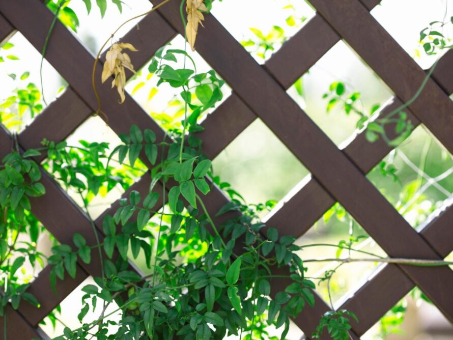 affordable backyard ideas 14