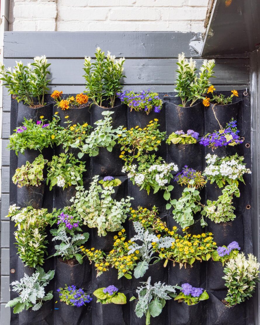 affordable backyard ideas 16