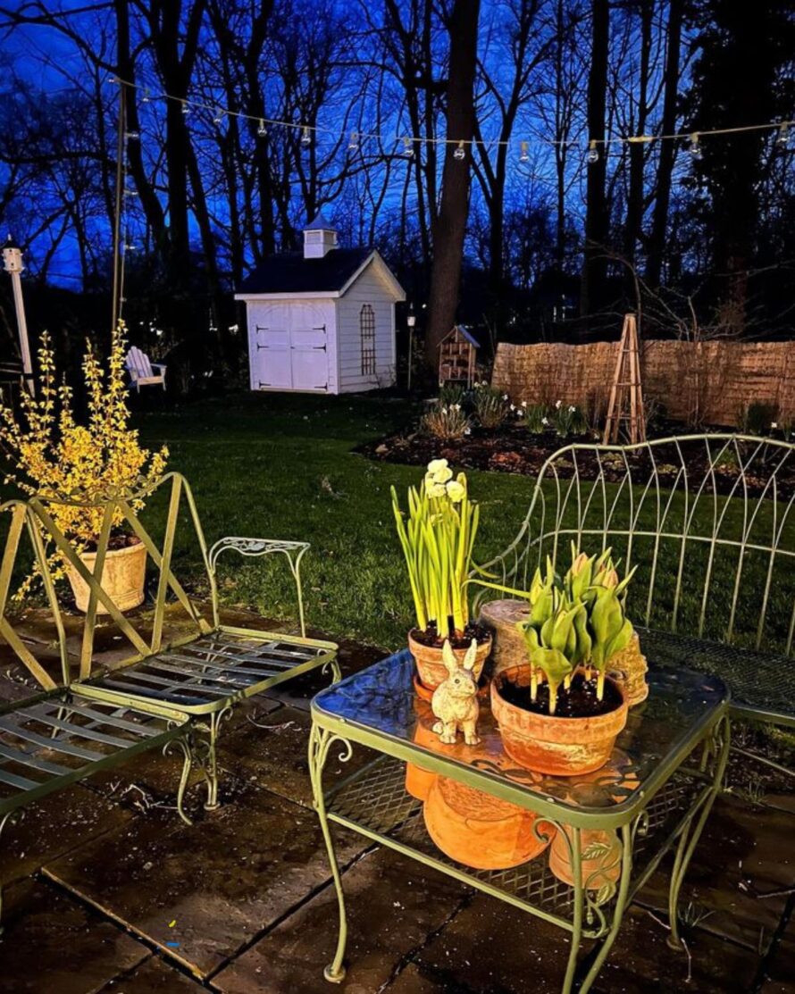 affordable backyard ideas 19
