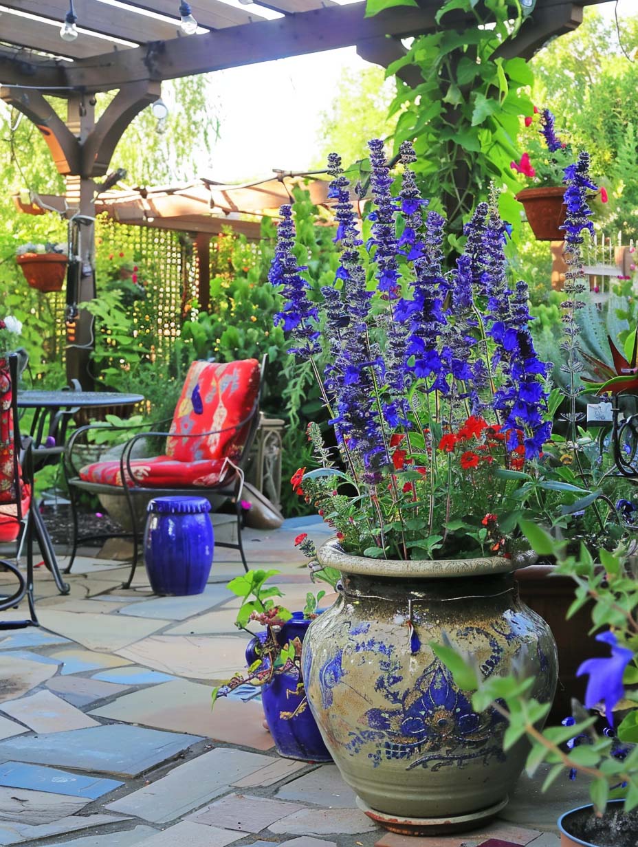 20. Salvia