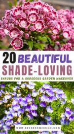 top shade loving shrubs
