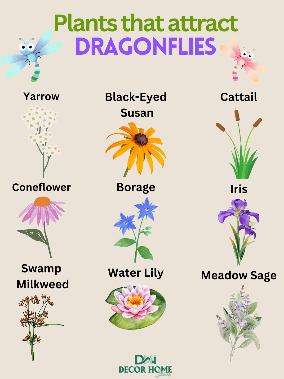 Plants That Attract Dragonflies