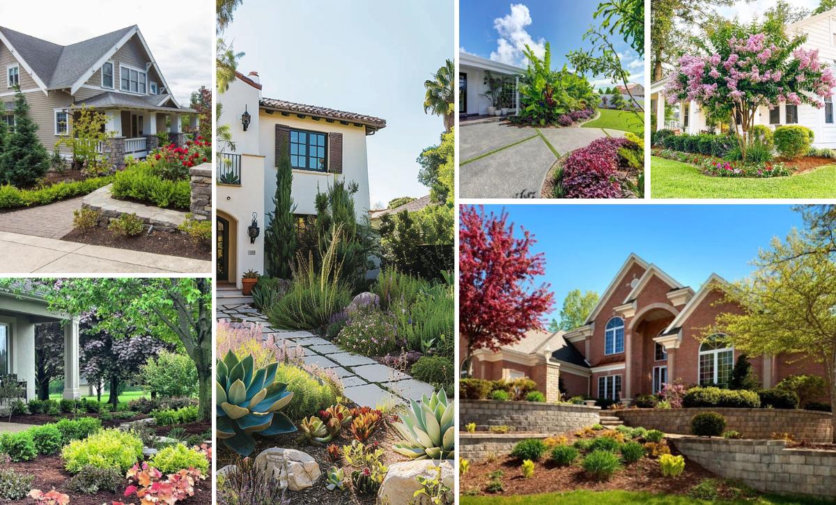 innovative front yard landscaping ideas