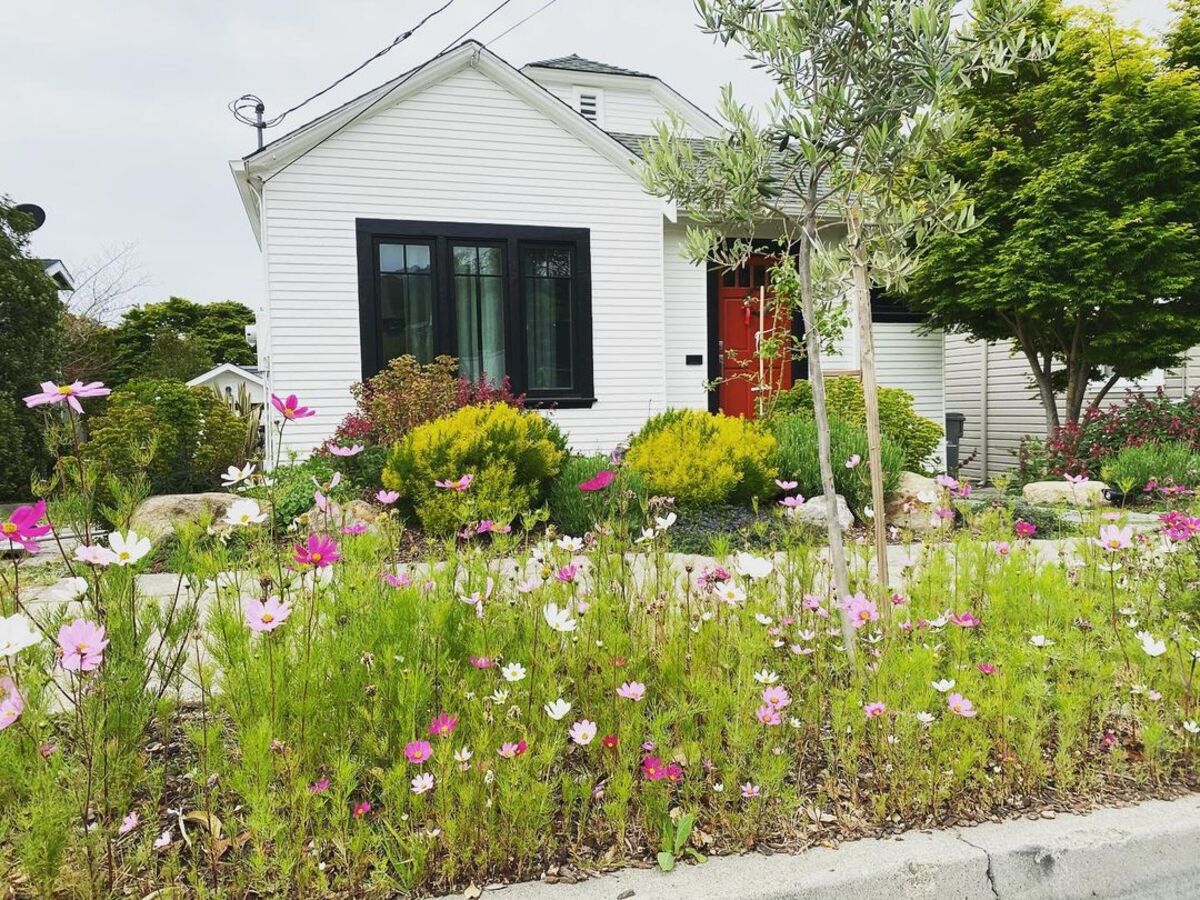 small front yard landscaping ideas 2