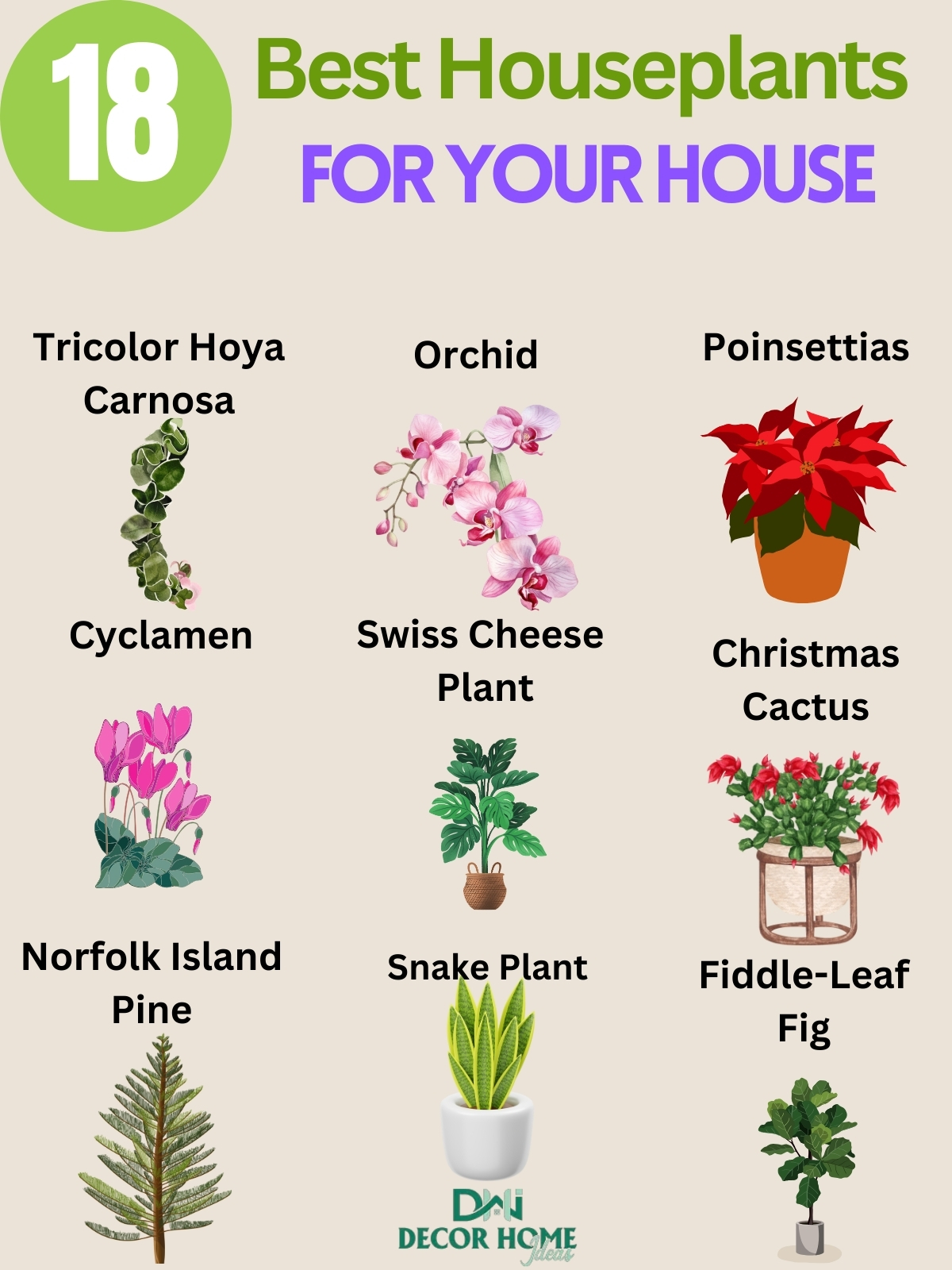 18 Most Attractive Houseplants To Decorate Your House
