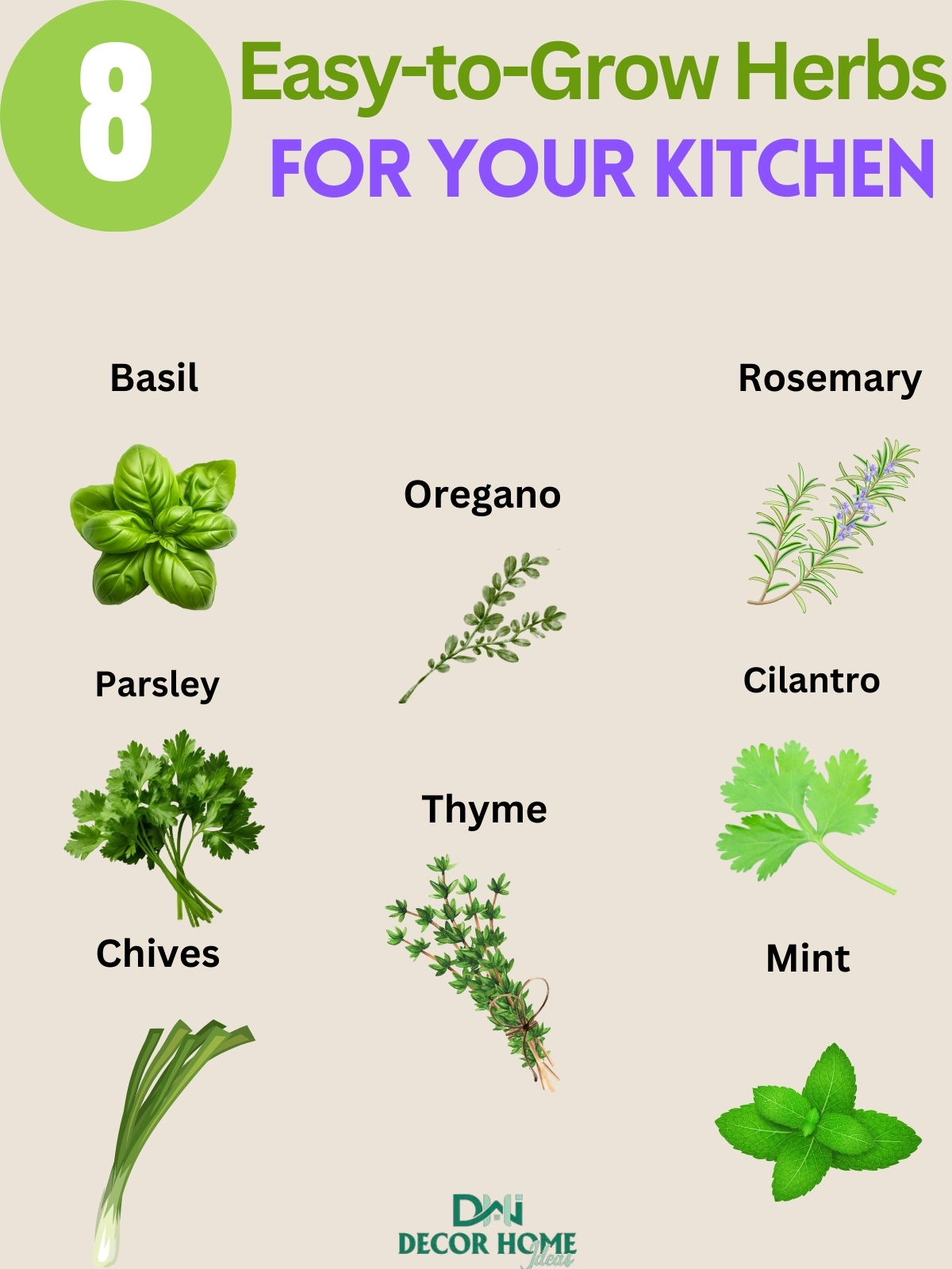8 Easy to Grow Herbs for Your Late Summer Kitchen Garden