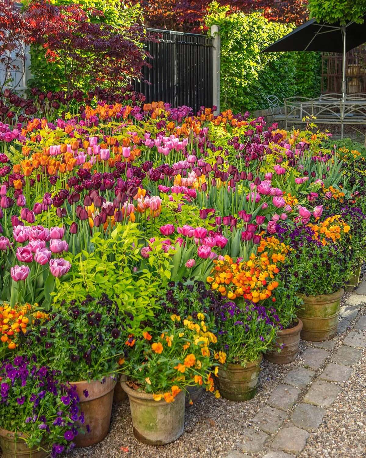 colorful flower gardens 1