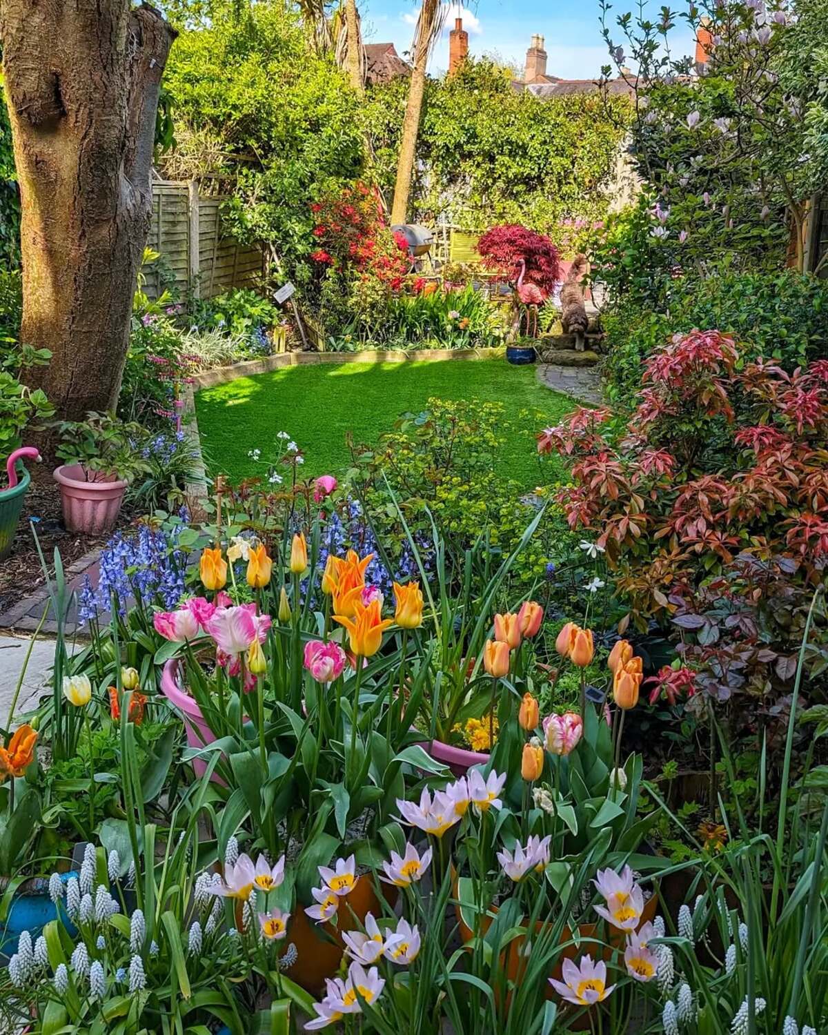 colorful flower gardens 11