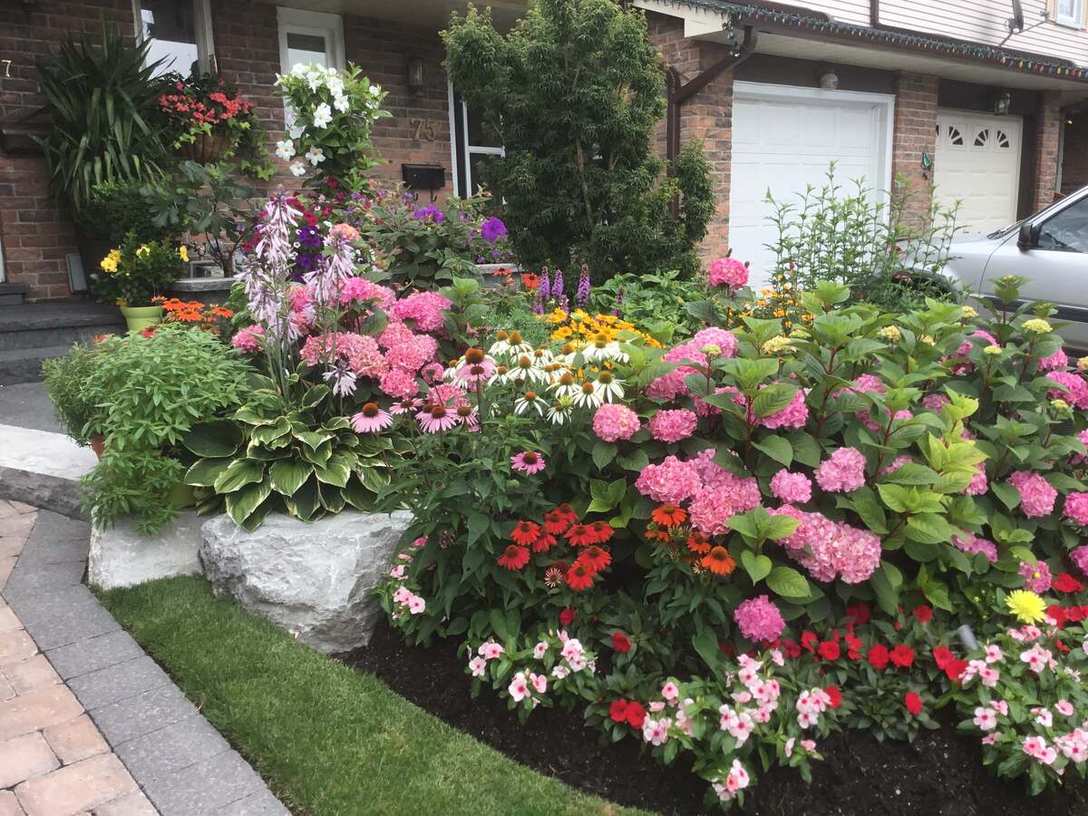 colorful flower gardens 13