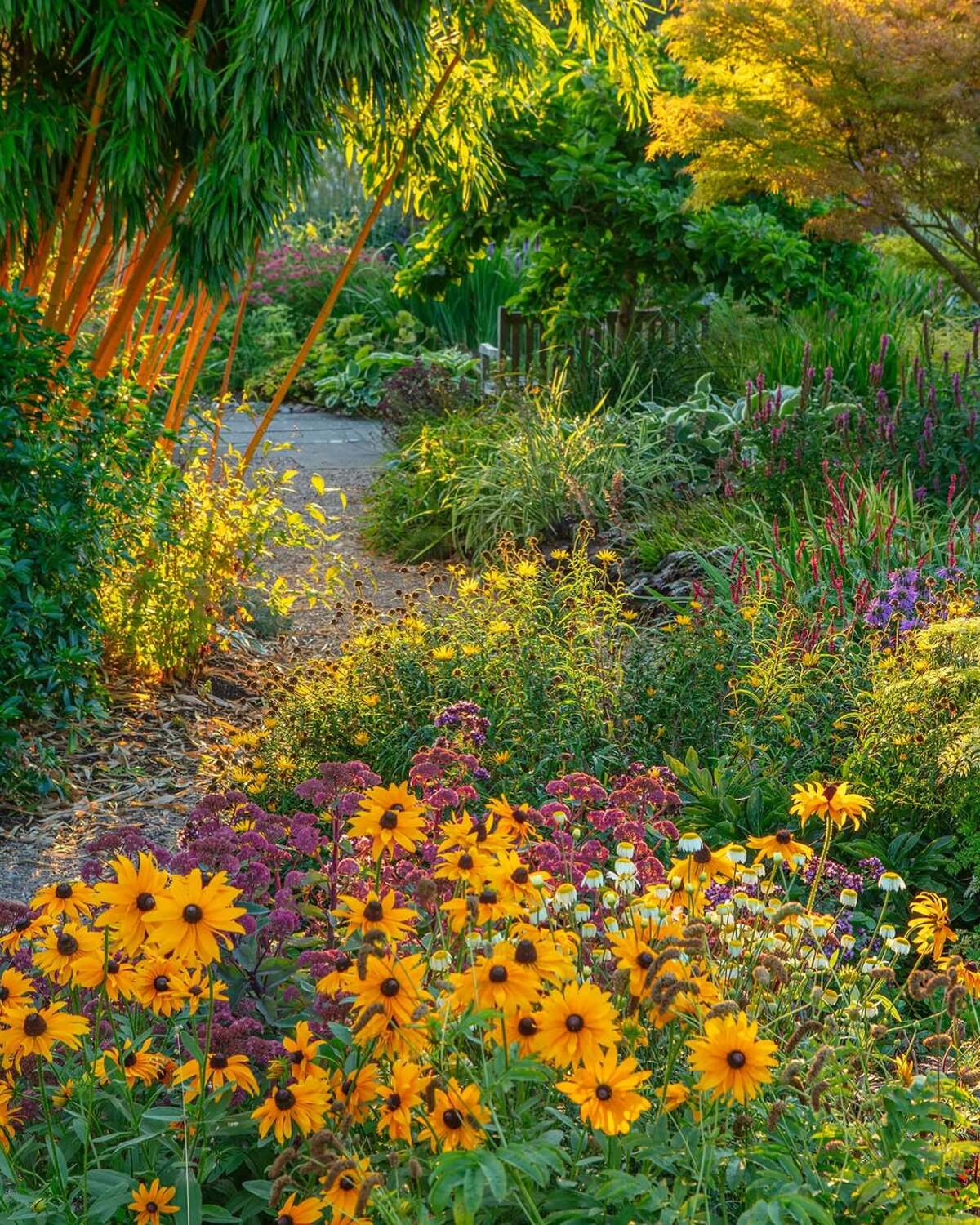 colorful flower gardens 16