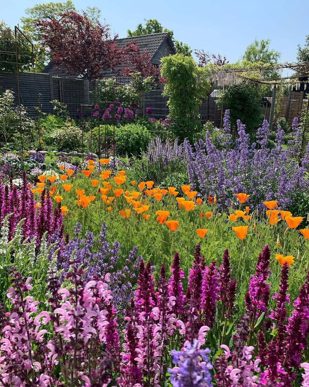 colorful flower gardens 19