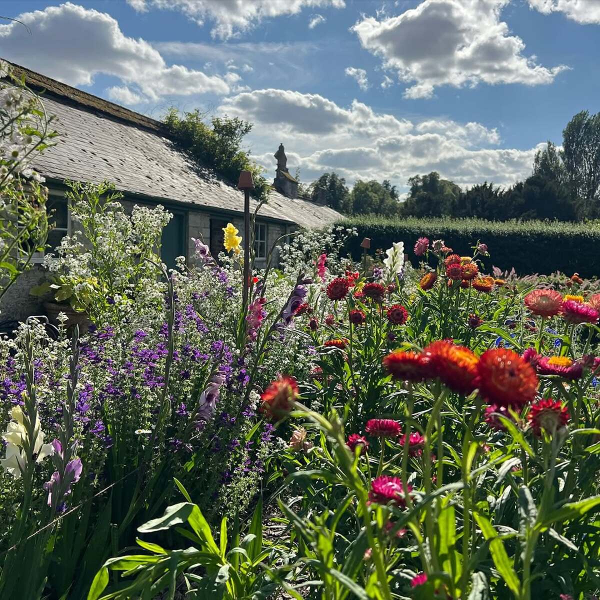colorful flower gardens 21