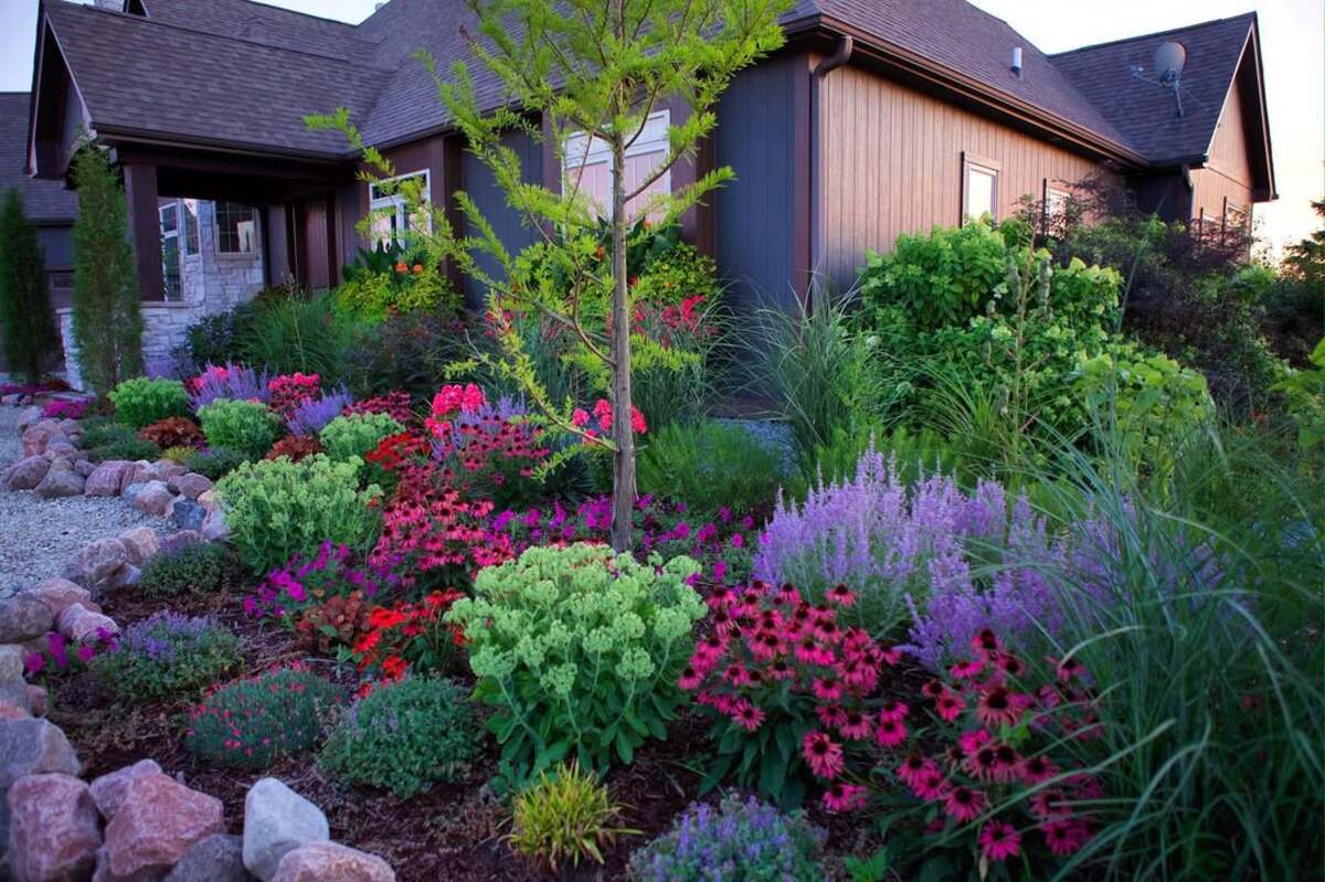 colorful flower gardens 3
