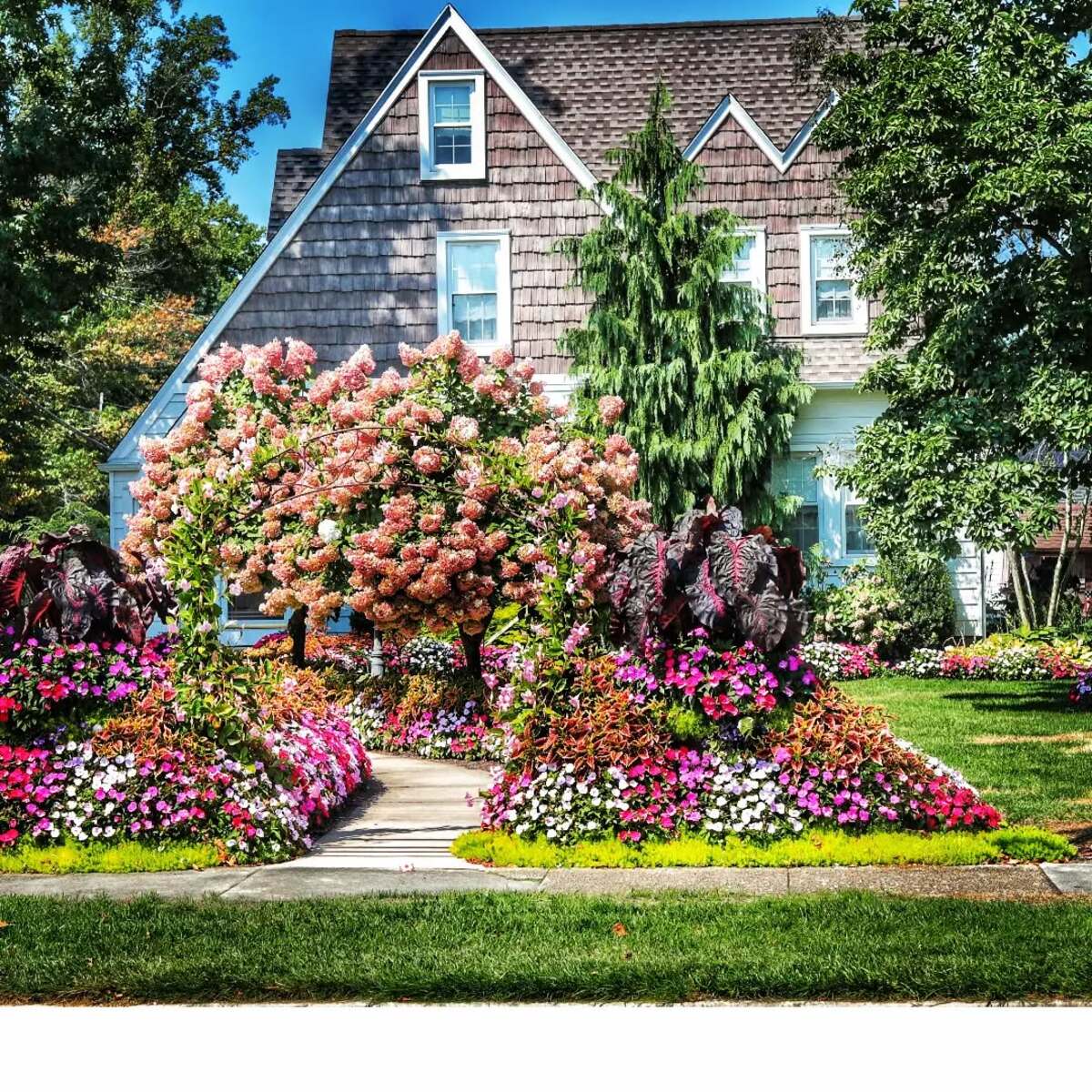 colorful flower gardens 4
