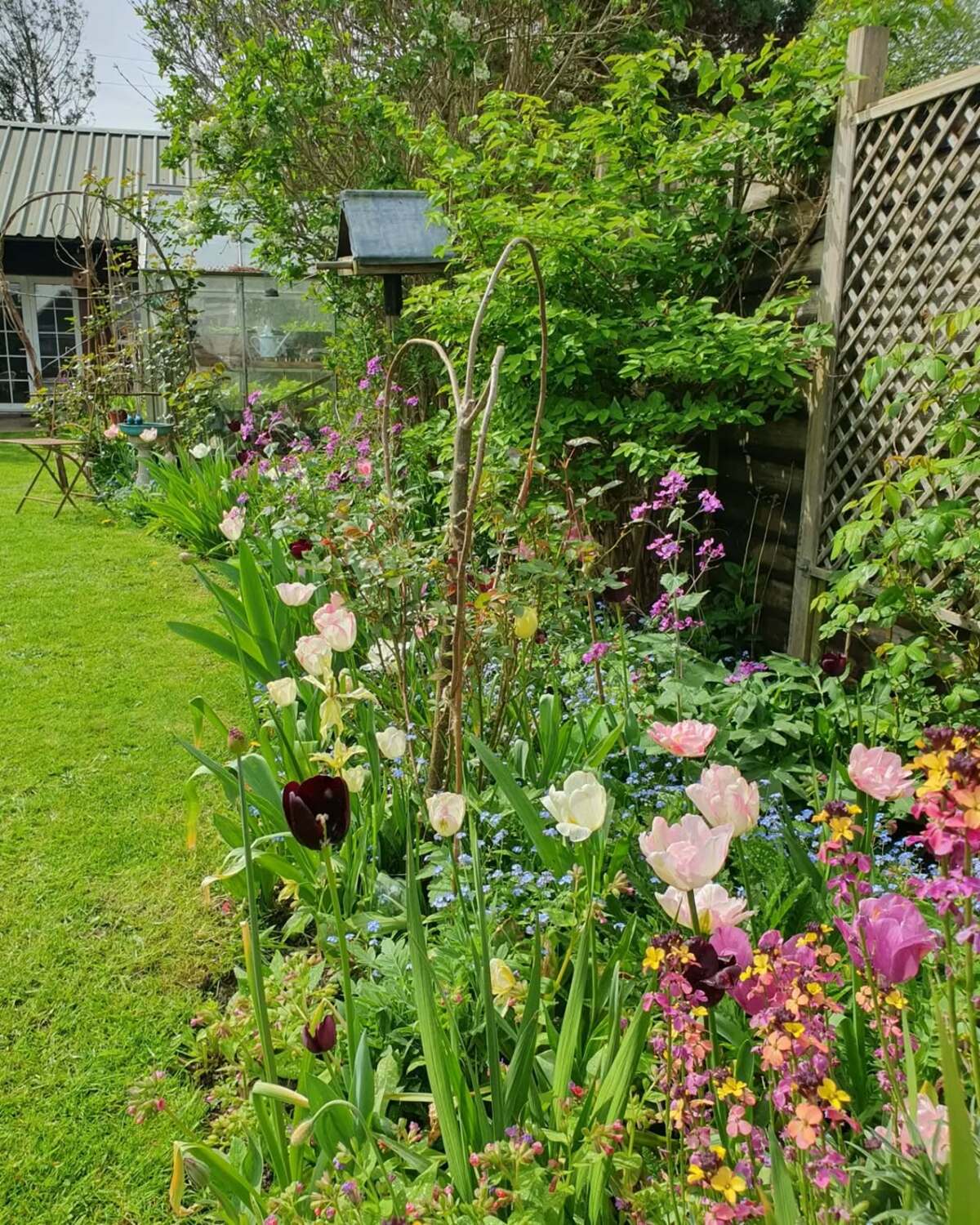 colorful flower gardens 7