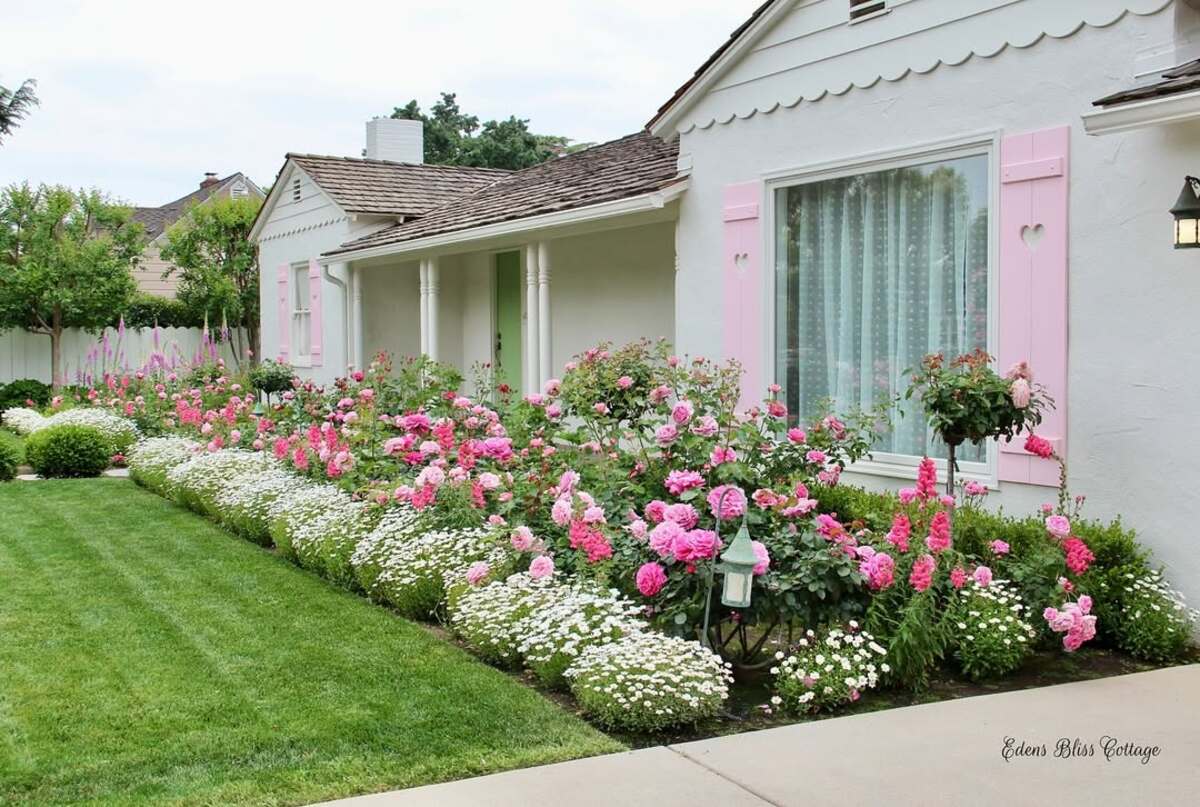 colorful flower gardens 8