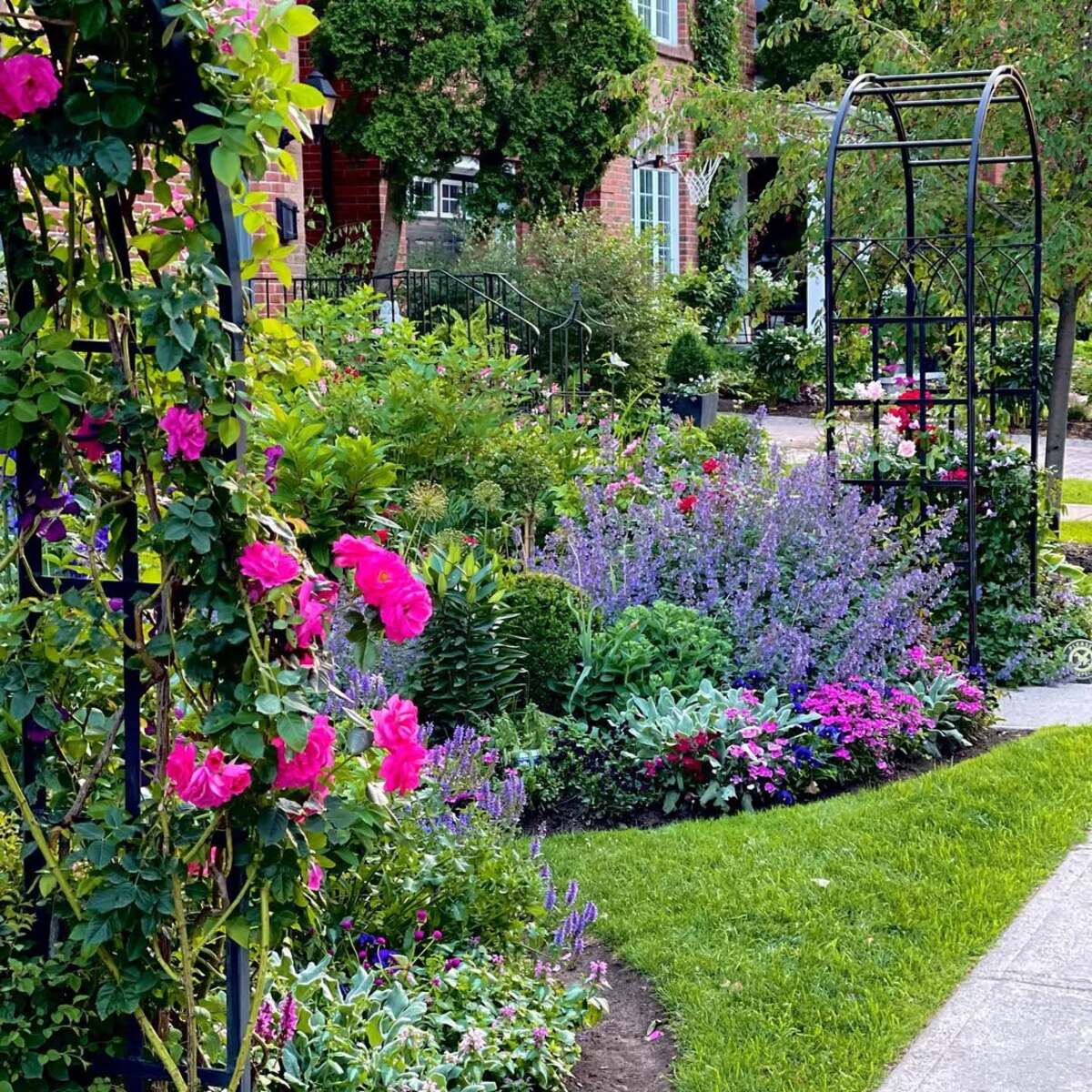 colorful flower gardens 9