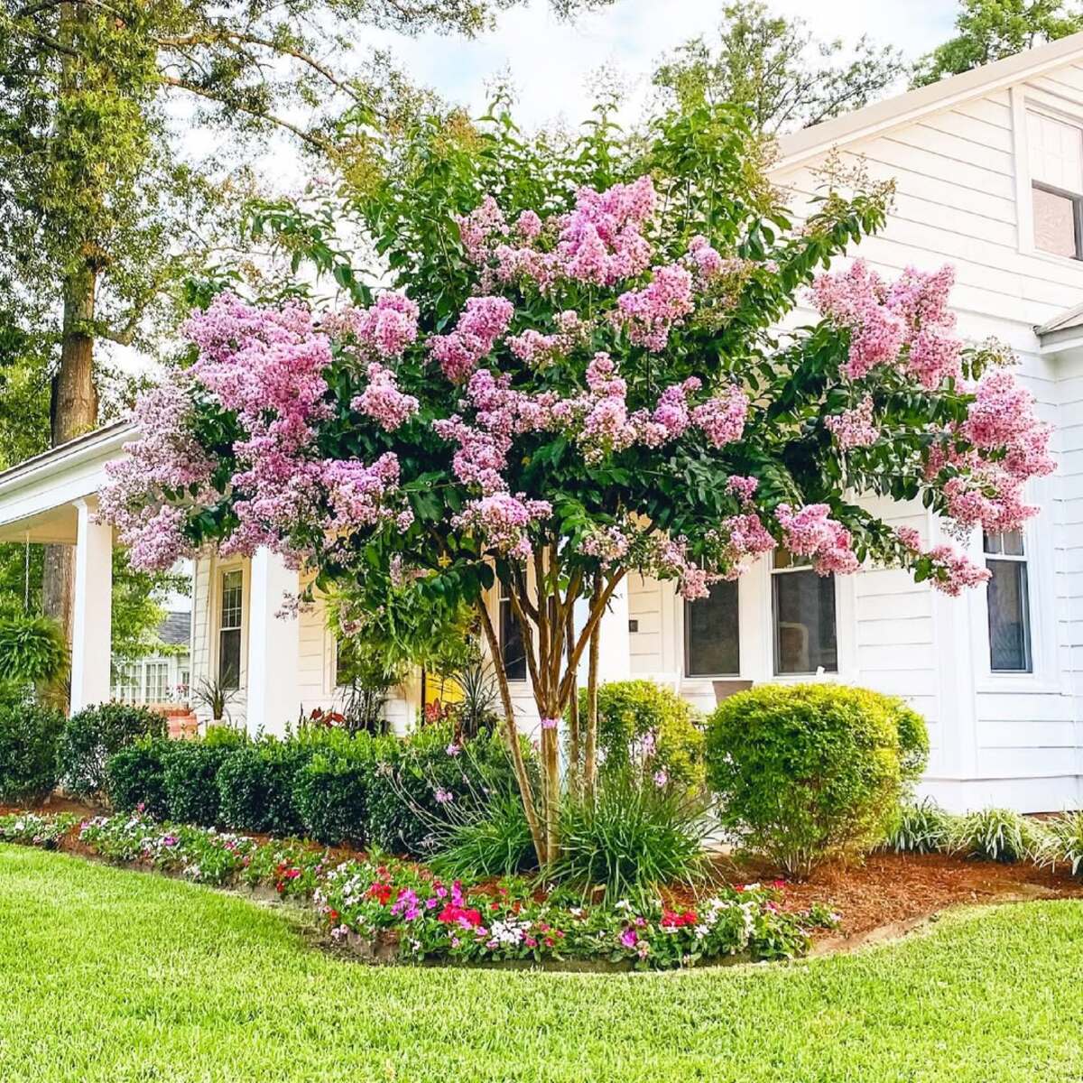 flower garden designs 3