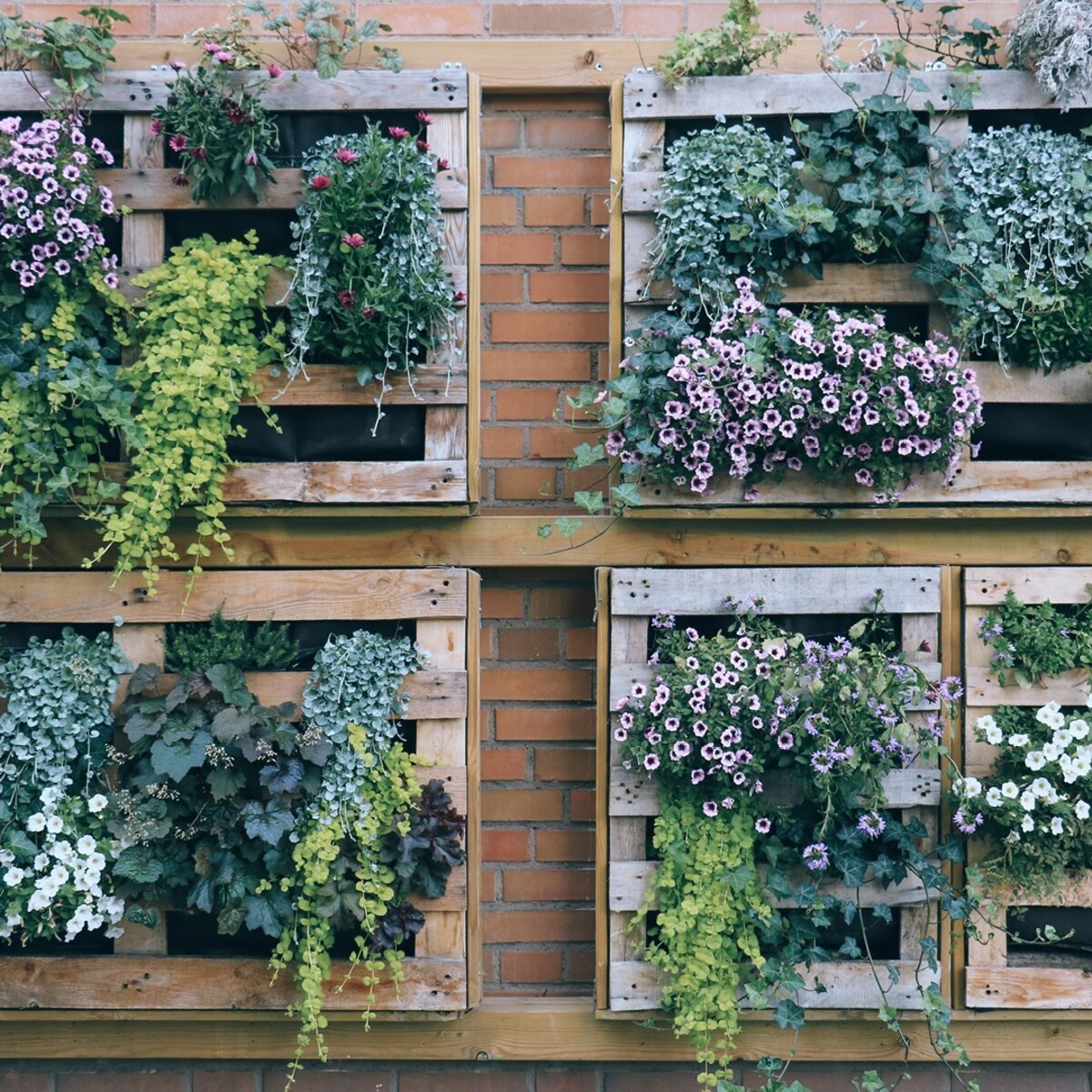 vertical urban flower gardens 1