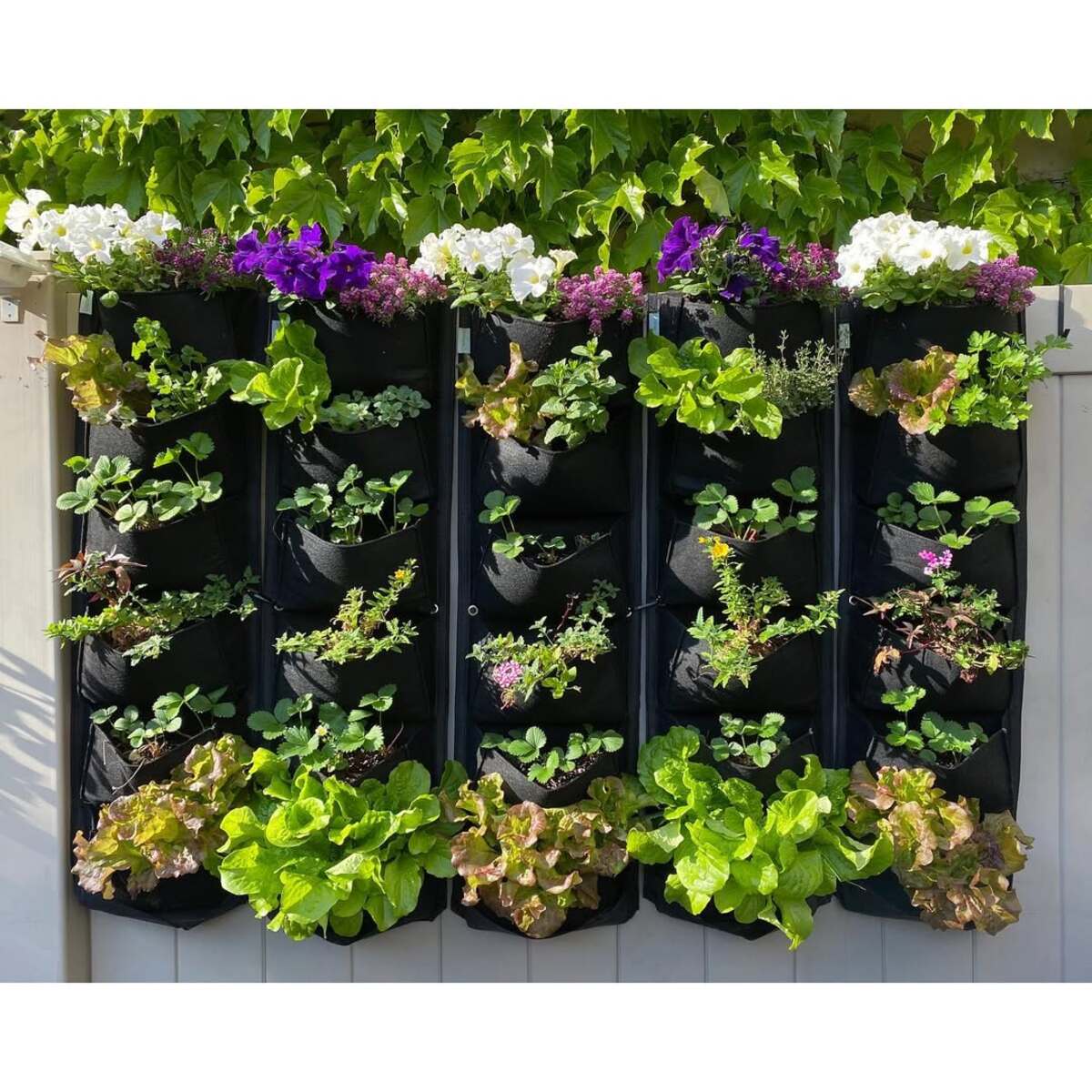 vertical urban flower gardens 10