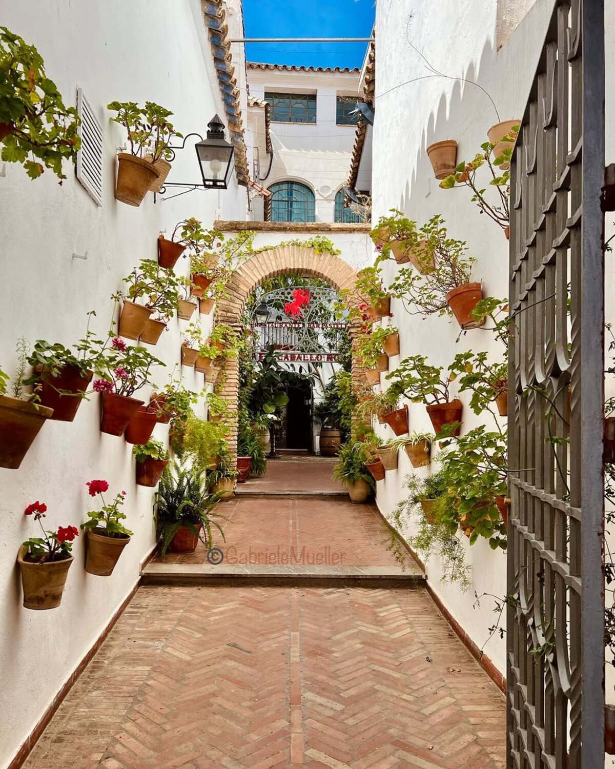 vertical urban flower gardens 11